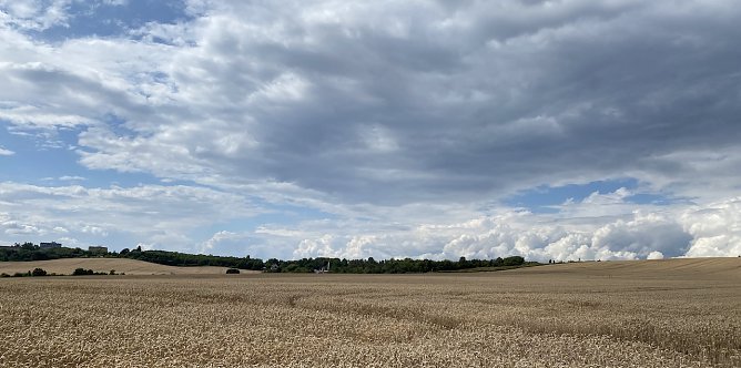 Sommerliches Feld mit Wolken (Foto: oas)