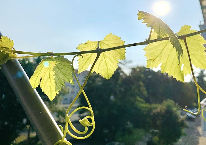 Schönes Herbstwetter ist in Aussicht (Foto: emw) Schönes Herbstwetter ist in Aussicht (Foto: emw)