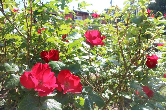 Wetterbild (Foto: agl) Wetterbild (Foto: agl)