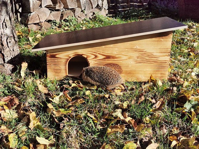 Immobilie für den Igel im eigenen Garten (Foto: Roger Cornitzius) Immobilie für den Igel im eigenen Garten (Foto: Roger Cornitzius)