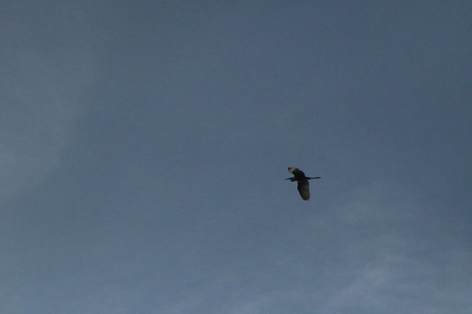 Wetterbild (Foto: agl) Wetterbild (Foto: agl)