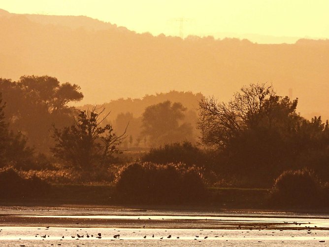 Unser Wetterbild kommt heute von Peter Blei, der diese sch&ouml;ne Aufnahme am Stausee Kelbra gemacht hat (Foto: Peter Blei)