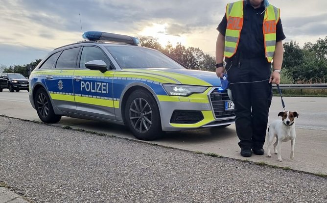 Bella ist wohlbehalten zur&uuml;ck von der Rennstrecke (Foto: API)