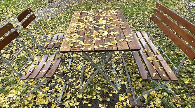 Verwaiste Freifläche (Foto: oas) Verwaiste Freifläche (Foto: oas)