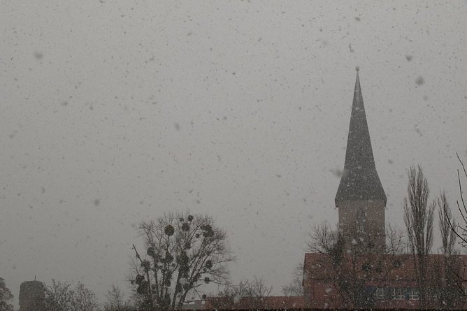 Dicke Flocken kamen heute über Nordhausen herunter (Foto: agl) Dicke Flocken kamen heute über Nordhausen herunter (Foto: agl)