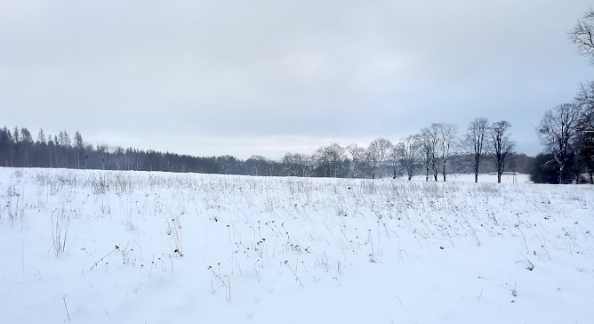 Wetter im Harz weiter winterlich (Foto: W.Jörgens) Wetter im Harz weiter winterlich (Foto: W.Jörgens)
