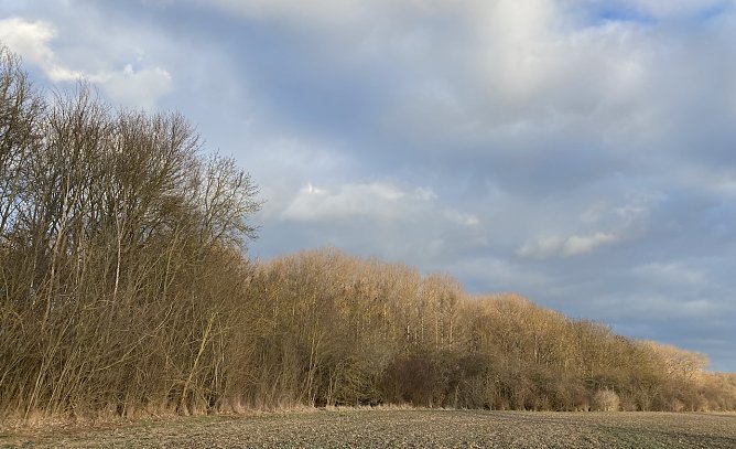 Bei Bad Langensalza (Foto: oas) Bei Bad Langensalza (Foto: oas)