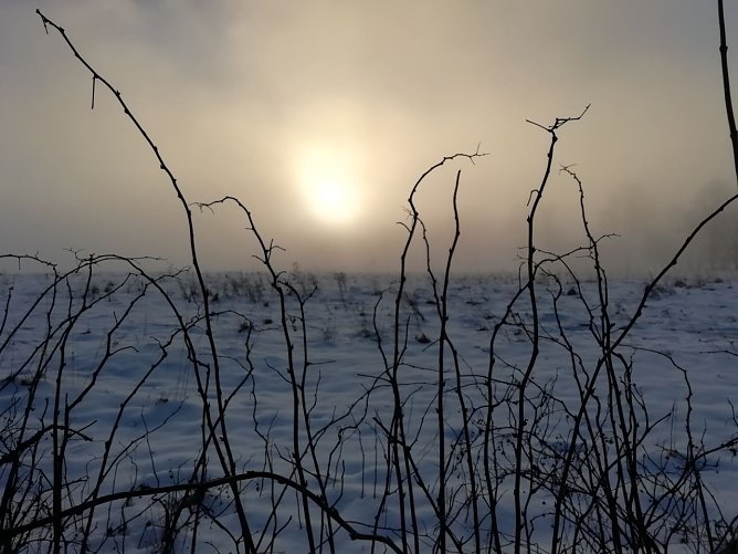 Unser frostig frisches Wettterbild kommt heute wieder aus dem morgenlichen Sophienhof (Foto: W. J&ouml;rgens)