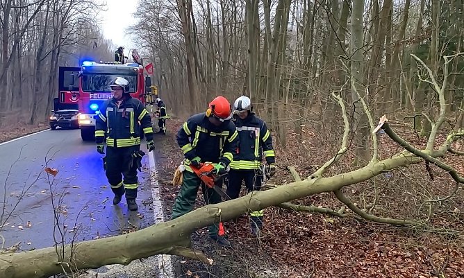 Bild vom Unfallort im M&auml;rz 2020 (Foto: Feuerwehr Bad Langensalza/SD)