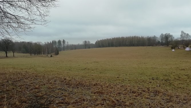Auch der Hochharz ist bei 2 Grad wieder schneefrei (Foto: W.Jörgens) Auch der Hochharz ist bei 2 Grad wieder schneefrei (Foto: W.Jörgens)