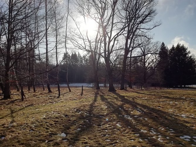 In Sophienhof weicht der Schnee langsam der Sonne (Foto: W. J&ouml;rgens)