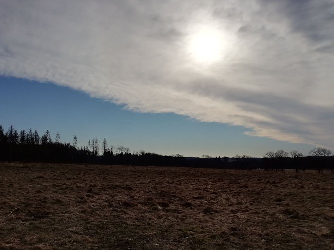 Den Sonnenschein konnte man heute morgen auch in Sophienhof genießen (Foto: W. Jörgens) Den Sonnenschein konnte man heute morgen auch in Sophienhof genießen (Foto: W. Jörgens)