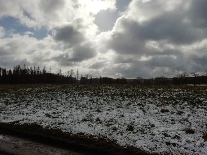 Bei Sophienhof haben Wind und K&auml;lte das Wettergeschehen noch fest im Griff (Foto: W. J&ouml;rgens)