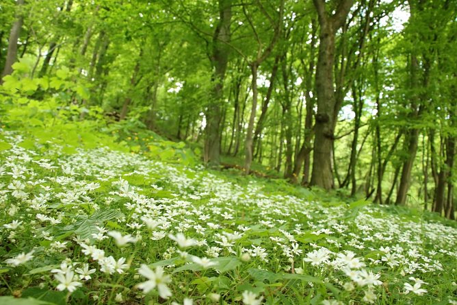 Wetterbild (Foto: agl)