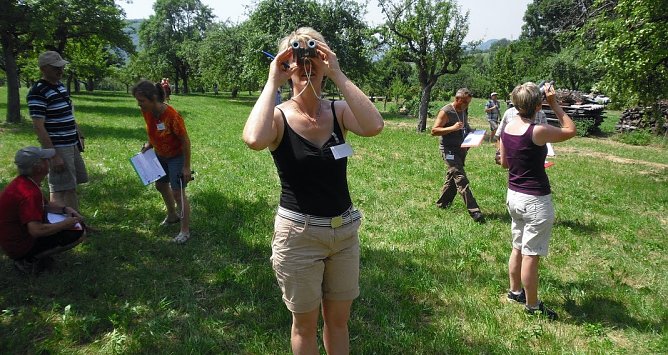 Erntesch&auml;tzung mit Augenma&szlig; - Seit 1995 erstellt der VdF &uuml;ber die sogenannte Bavendorfsche Fruchtbehangsch&auml;tzung Prognosen &uuml;ber die Ernte der Streuobst&auml;pfel. Mit einem Spezialfernrohr, dem sogenannten Gucki, werden f&uuml;nf Ausschnitte ins Visier genommen und der Apfelbehang gez&auml;hlt.  (Foto: VdF)