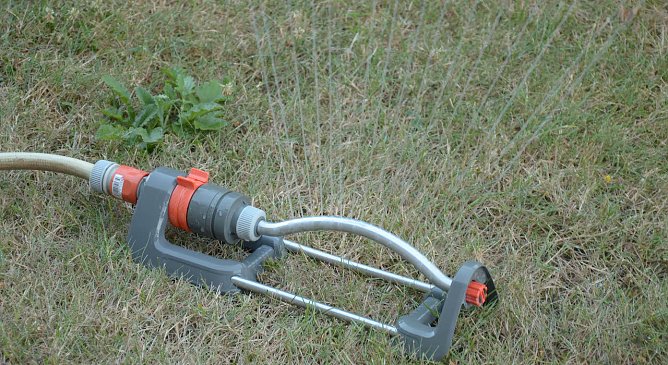 Rasensprenger (Foto: Anja Roth/ VSR-Gew&auml;sserschutz)