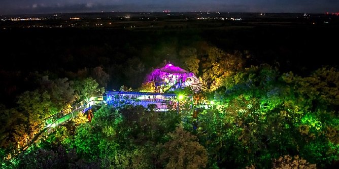 H&ouml;hengenuss auf dem Baumkronenpfad  (Foto: KTL)