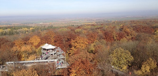 Auf dem Baumkronenpfad im Nationalpark Hainich (Foto: uhz-Archiv) Auf dem Baumkronenpfad im Nationalpark Hainich (Foto: uhz-Archiv)