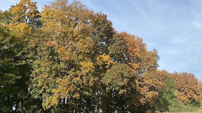 Mit dem sonnigen Herbstwetter ist es erst einmal vorbei (Foto: oas)