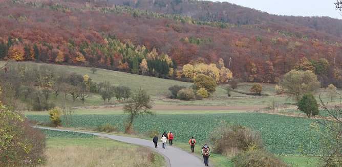 Den S&uuml;dharz-Hunderter gibt es seit 2005. Diese Aufnahme entstand vor fast genau zehn Jahren, am 27. Oktober 2012 zwischen Uftrungen und Breitungen w&auml;hrend der der 14. Ausgabe.   (Foto: Bodo Schwarzberg)