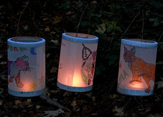 Im Wildkatzendorf werden am Samstag Laternen gebastelt (Foto: Dr. Katrin Vogel)