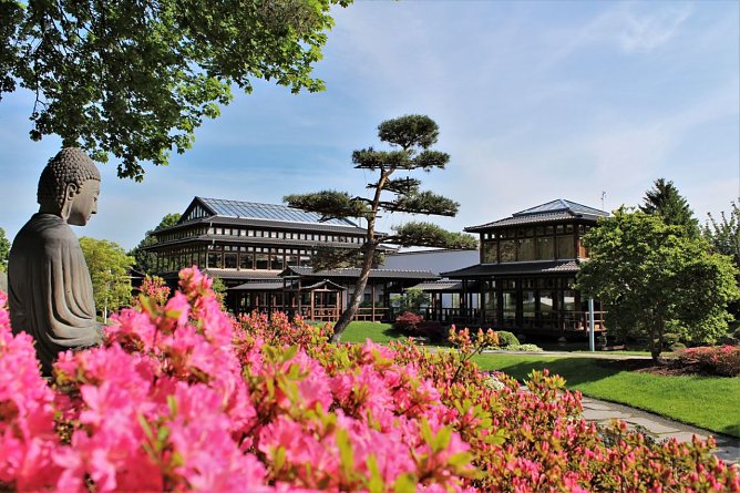 Die Azaleen im Japanischen Garten sind ein farbepr&auml;chtiger Hingucker. (Foto: KTL Kur und Tourismus Bad Langensalza)