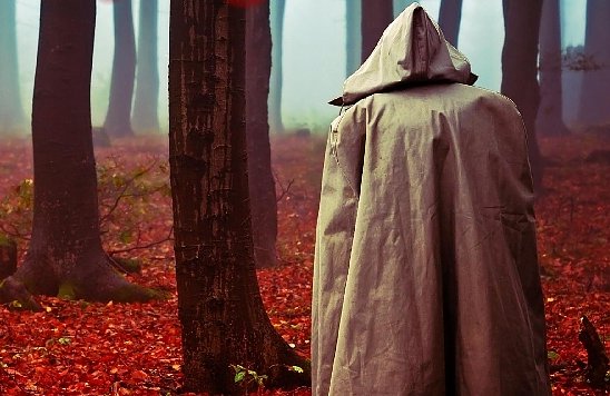 Autorenlesung mit Hans Kuhnert in der Thalia Buchhandlung (Foto: Verlag DeBehr)