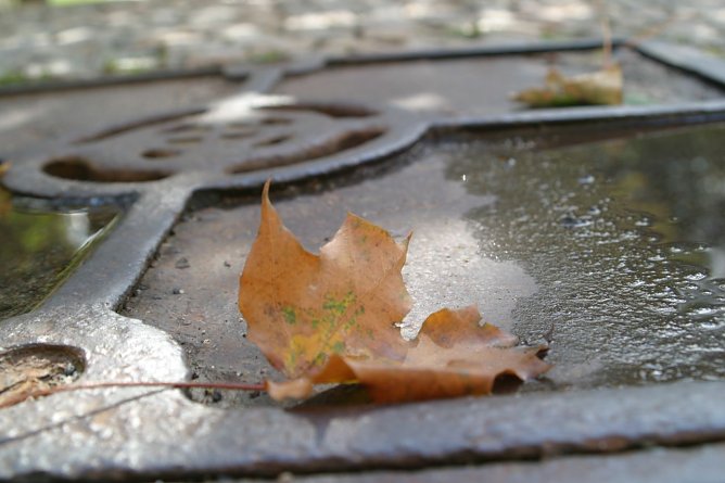 Wetterbild (Foto: wirsinds)