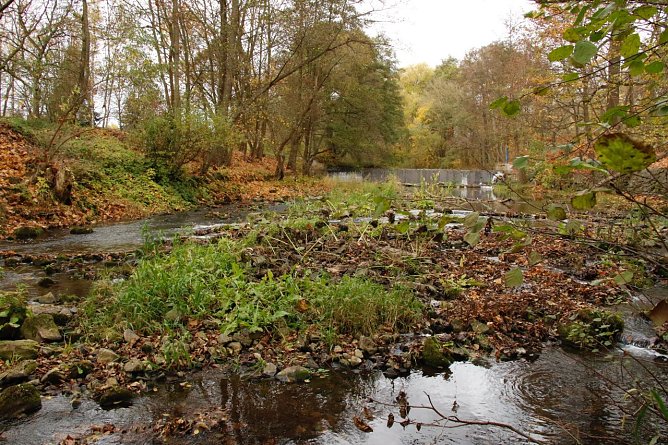 Im November sah die Zorge in Nordhausen mehr wie ein Bach und nicht wie ein Fluss aus (Foto: nnz-Archiv)