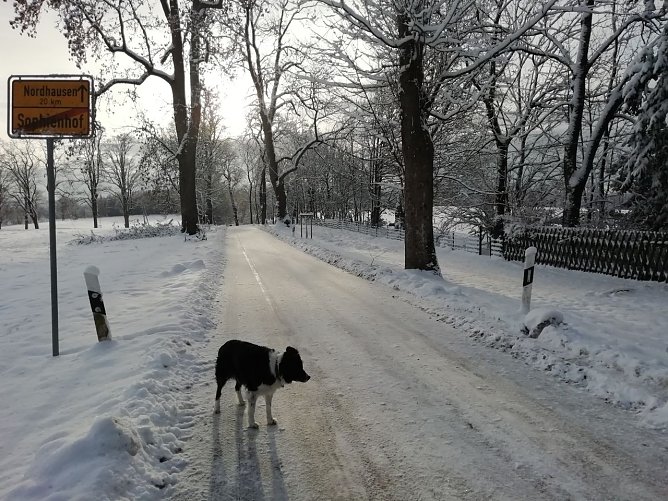 Winterliche Atmosph&auml;re im Harz (Foto: W. J&ouml;rgens)