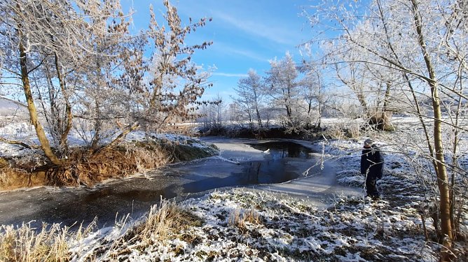 Momentaufnahmen im Advent, aufgenommen an der Wipper (Foto: Gudrun L&uuml;bbecke)