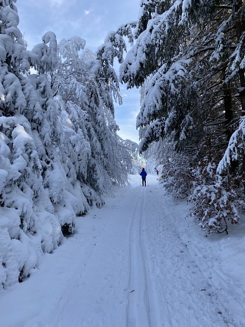 Glanz und Schlichtheit (Foto: Sophie Walther) Glanz und Schlichtheit (Foto: Sophie Walther)