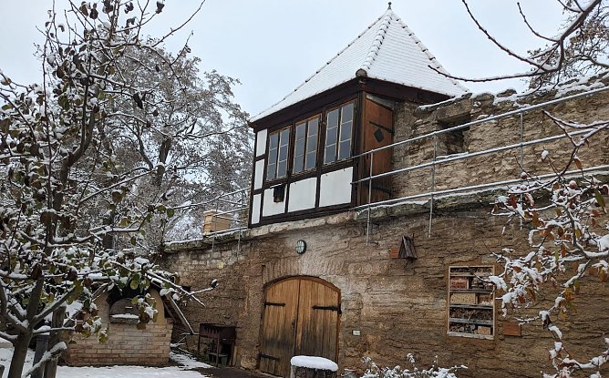 BUND-Garten Bad Langensalza im Winter (Foto: BUND)