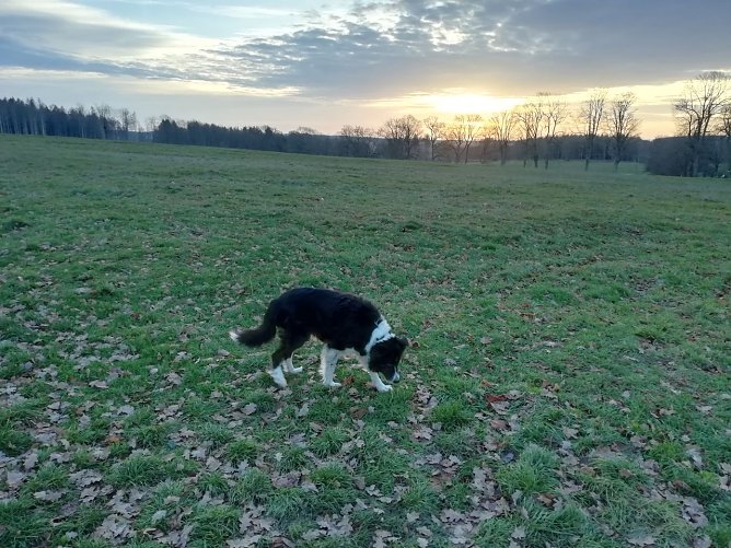 So zeigte sich der Neujahrsmorgen im Harz (Foto: W. Jörgens) So zeigte sich der Neujahrsmorgen im Harz (Foto: W. Jörgens)