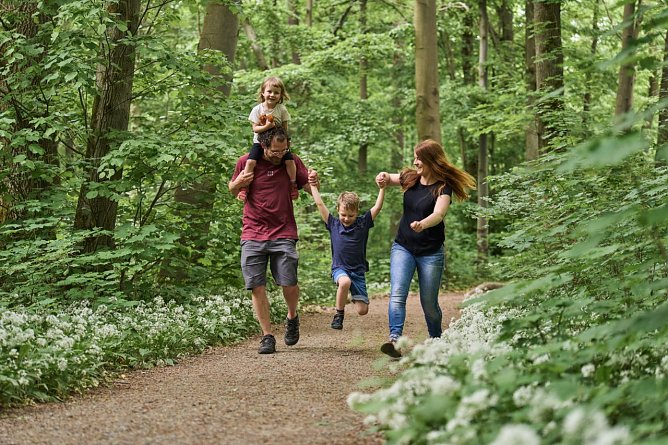 25 Jahre Nationalpark Hainich (Foto: Nationalpark Hainich)