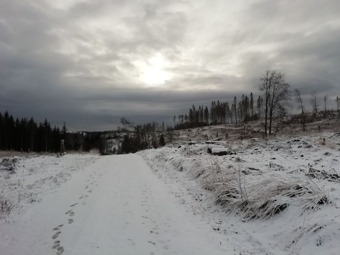 Schneebedeckt und wolkenverhangen zeigt sich der Harz bei Sophienhof (Foto: W. Jörgens) Schneebedeckt und wolkenverhangen zeigt sich der Harz bei Sophienhof (Foto: W. Jörgens)