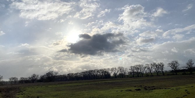 Das Januarwetter in der Statistik (Foto: oas)