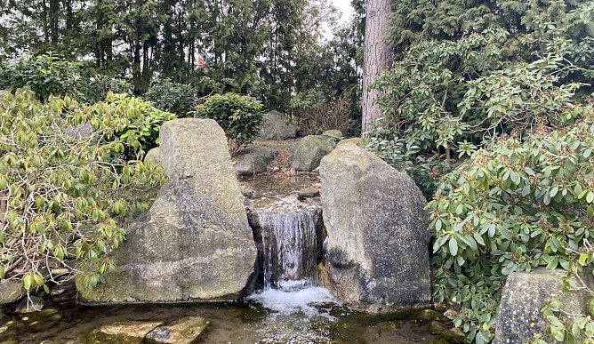 Im Japanischen Garten Bad Langensalza (Foto: oas)
