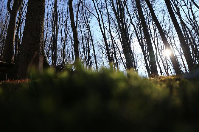 Wetterbild (Foto: agl)