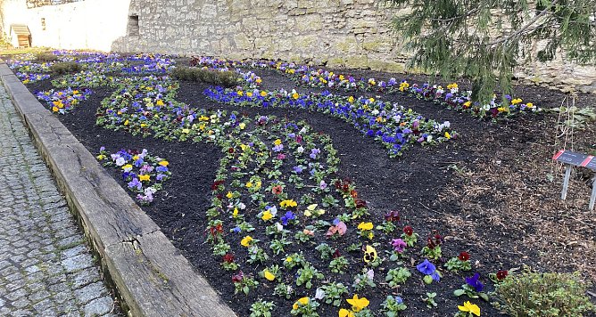 Weiterhin indes und frühlingshaftes Wetter (Foto: oas) Weiterhin indes und frühlingshaftes Wetter (Foto: oas)