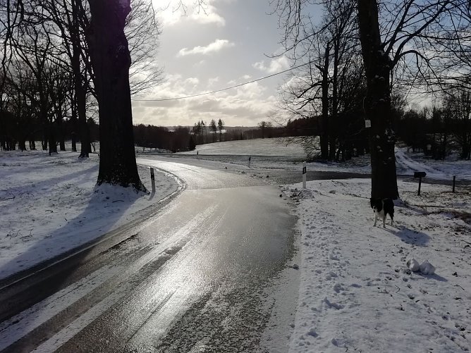 In Sophienhof ist der Winter noch einmal zurückgekehrt (Foto: W. Jörgens) In Sophienhof ist der Winter noch einmal zurückgekehrt (Foto: W. Jörgens)