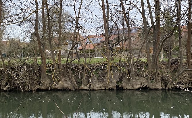 Die Unstrut bei N&auml;gelstedt (Foto: oas)