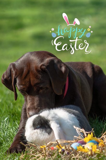 Zwei gute Freunde (Foto: T. Scholz) Zwei gute Freunde (Foto: T. Scholz)