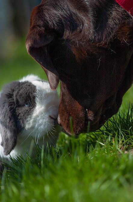 Zwei gute Freunde (Foto: T. Scholz) Zwei gute Freunde (Foto: T. Scholz)