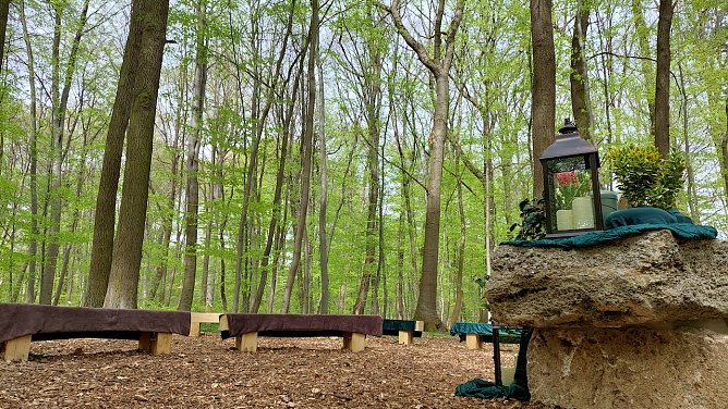 Waldfriedhof (Foto: Stadtverwaltung M&uuml;hlhausen)