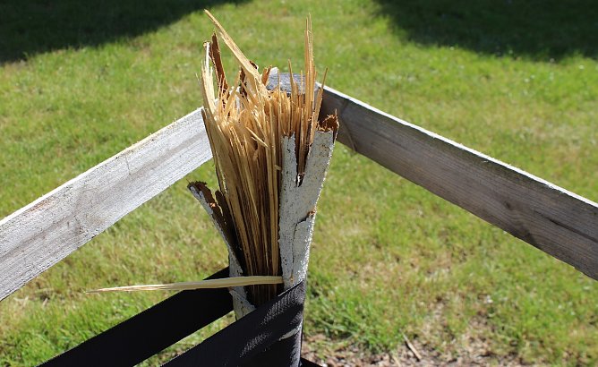 Akt sinnloser Zerst&ouml;rung: abgebrochener Jungbaum im Kurpark (Foto: Eva Maria Wiegand)