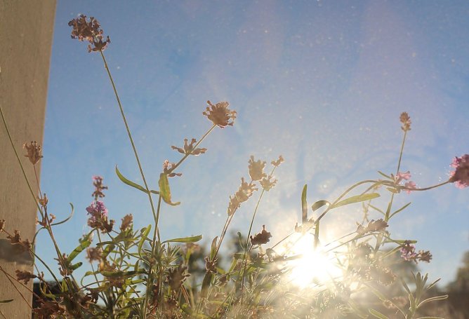 Wetterbild (Foto: agl)