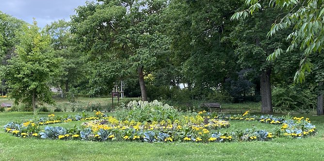 Nach schw&uuml;lwarmem Wetter drohen wieder Unwetter (Foto: oas)