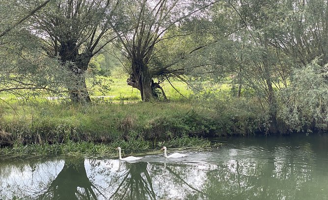 An der Unstrut bei Nägelstedt (Foto: oas) An der Unstrut bei Nägelstedt (Foto: oas)