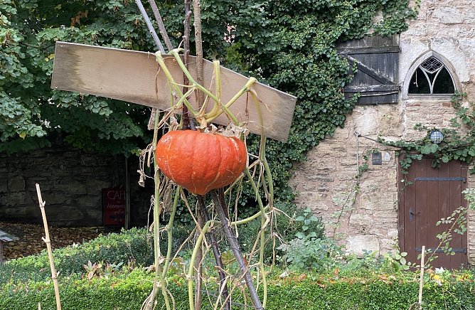 BUND-Naturgarten in Bad Langensalza (Foto: uhz Archiv)